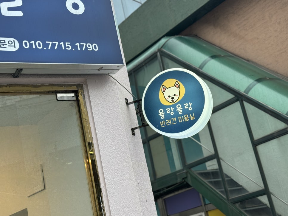마포 토이푸들 가위컷 미용 후기: 욜랑욜랑 솔직 경험담 — 사진 2