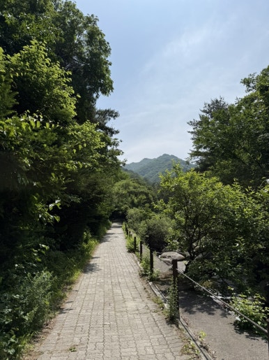 다리안관광지 이미지