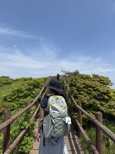 다리안관광지 이미지