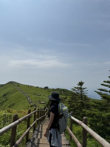 다리안관광지 이미지