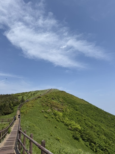 다리안관광지 이미지