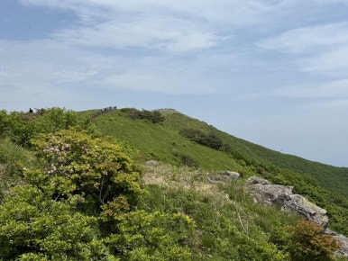 다리안관광지 이미지