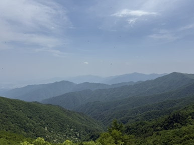 다리안관광지 이미지