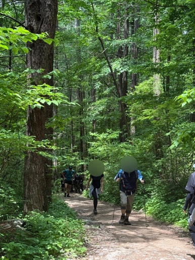 다리안관광지 이미지