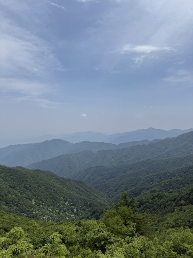 다리안관광지 이미지