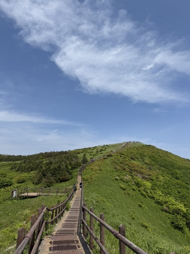 다리안관광지 이미지