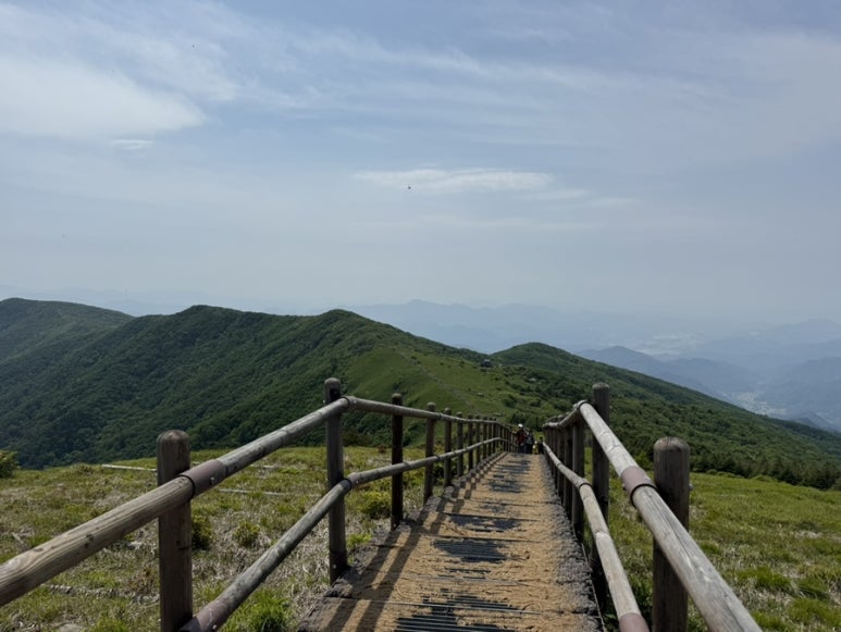 다리안관광지 이미지