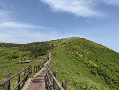 다리안관광지 이미지