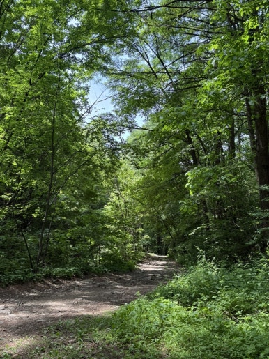 다리안관광지 이미지