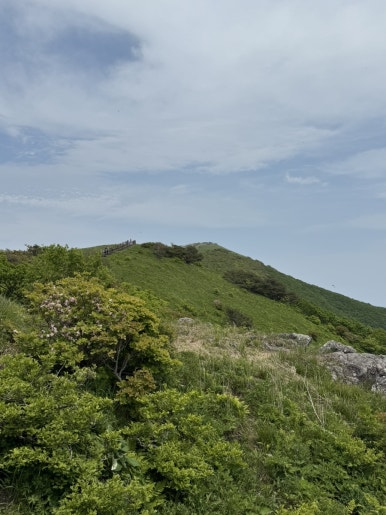 다리안관광지 이미지