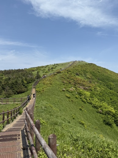 다리안관광지 이미지