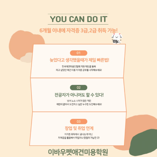 부산 애견미용학원 단기 자격증 취득 과정 및 비용 안내 — 사진 2