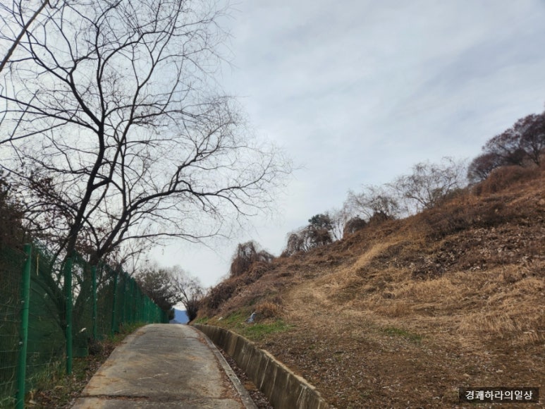 단양 신라 적성비 이미지