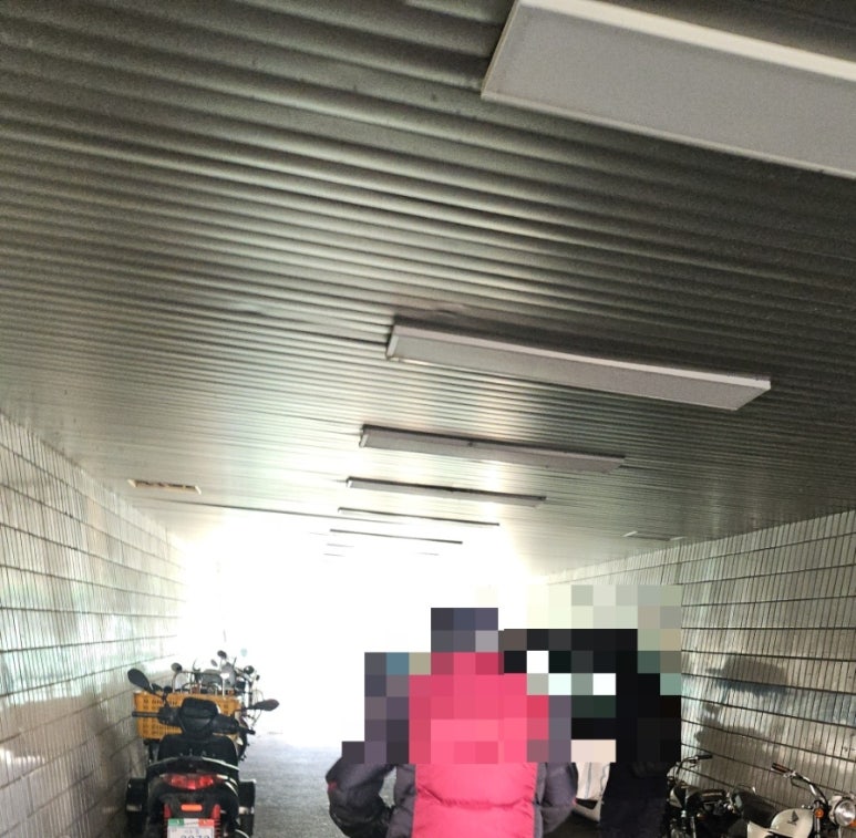 금봉식당 사진 8