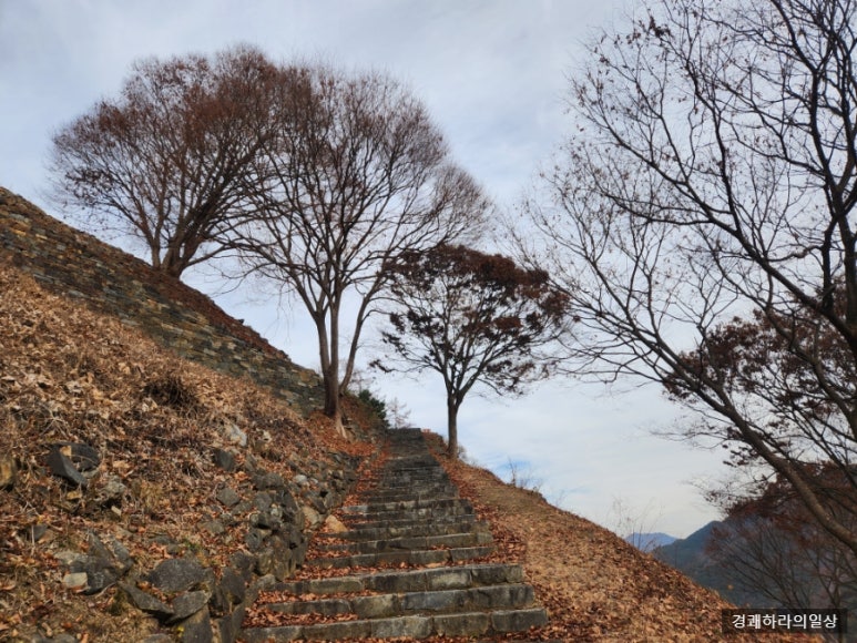 단양 신라 적성비 이미지