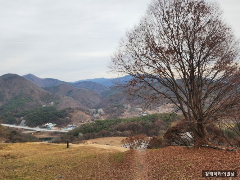 단양 신라 적성비 이미지