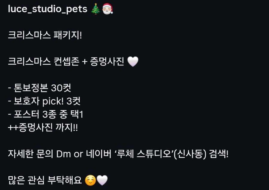 강남 루체 스튜디오, 우리 강아지 인생샷 남기기 — 사진 15