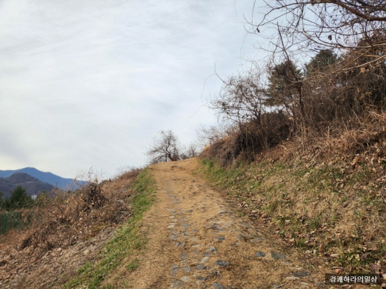 단양 신라 적성비 이미지