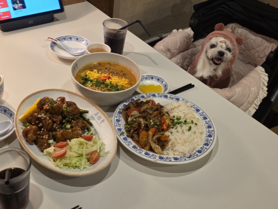 안산 애견동반 중식당 오복당, 프라이빗 룸 후기 — 사진 2