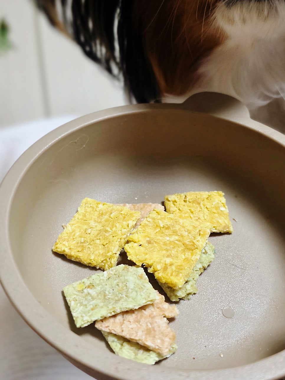 마시찌멍 코코크런키, 강아지 저칼로리 수제간식 후기 — 사진 9