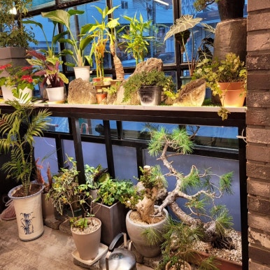 단양돈가 이미지