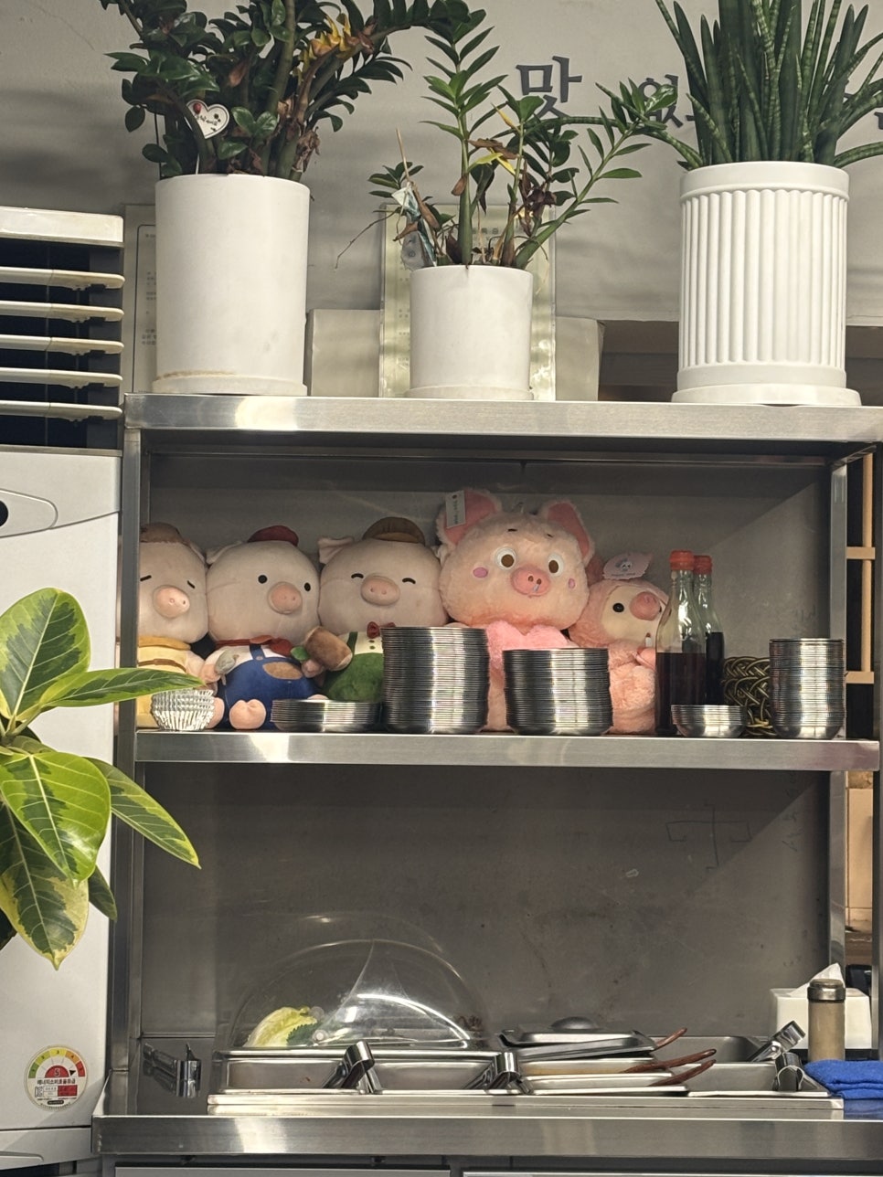 대림동 꽃돼지 사진 4