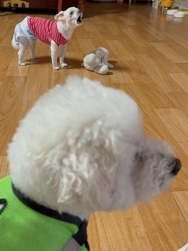 바다생협 대광어 용인본점 사진 4