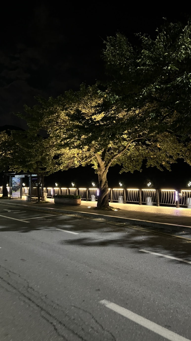 청강쏘가리 이미지