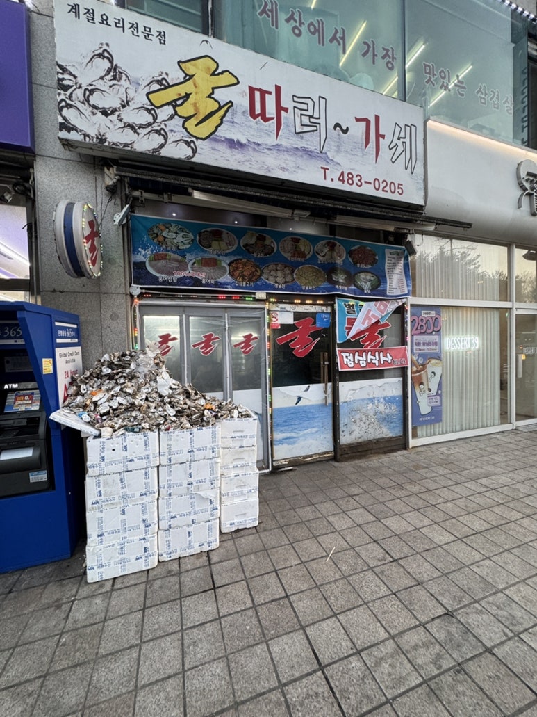 굴따러가세 사진 2