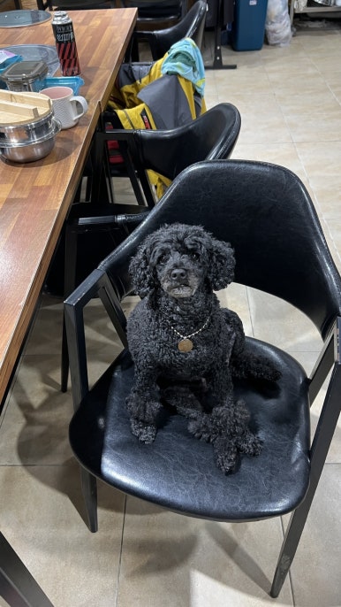 청강쏘가리 이미지