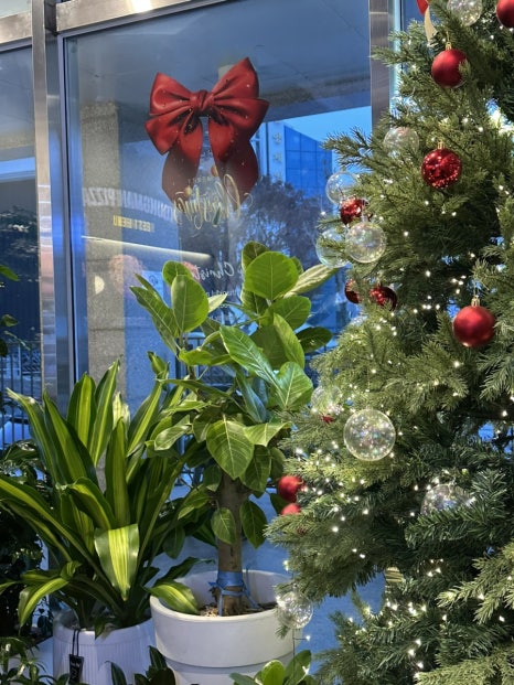 청년피자 단양점 이미지