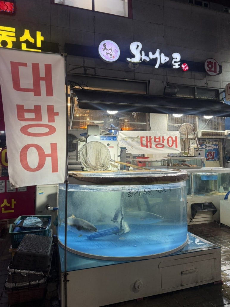 온새미로 사진 4