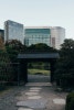 도쿄 우에노 동물원, 느긋한 일정 속 힐링 코스 추천 — 사진 10
