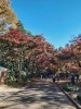 도쿄 우에노 동물원, 느긋한 일정 속 힐링 코스 추천 — 사진 3
