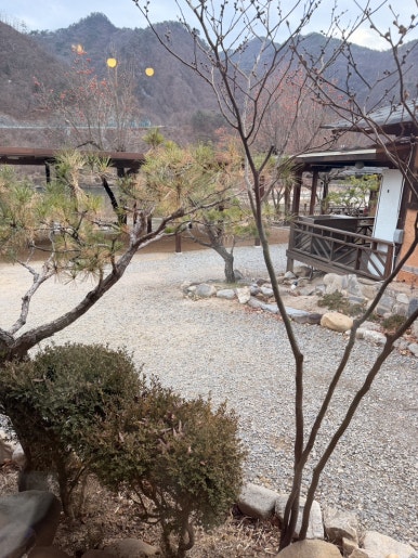 카페아마떼 영월점 이미지