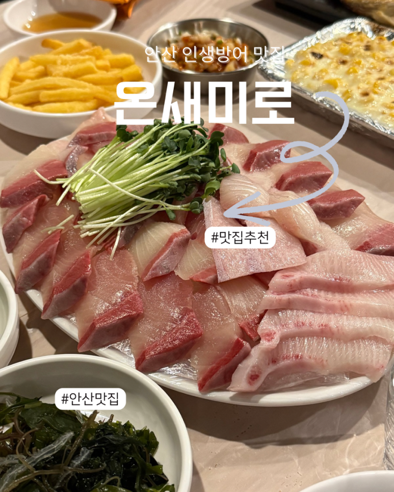 온새미로 사진 5