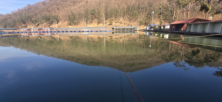 평일 여유로운 출조 성주리 낚시터