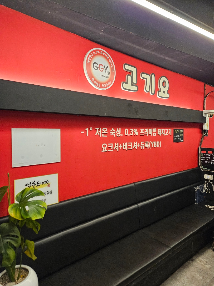 고기요 사진 6
