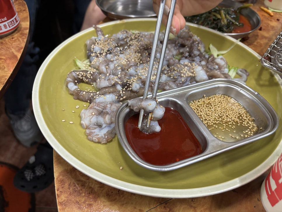 불티꼼장어 사진 3