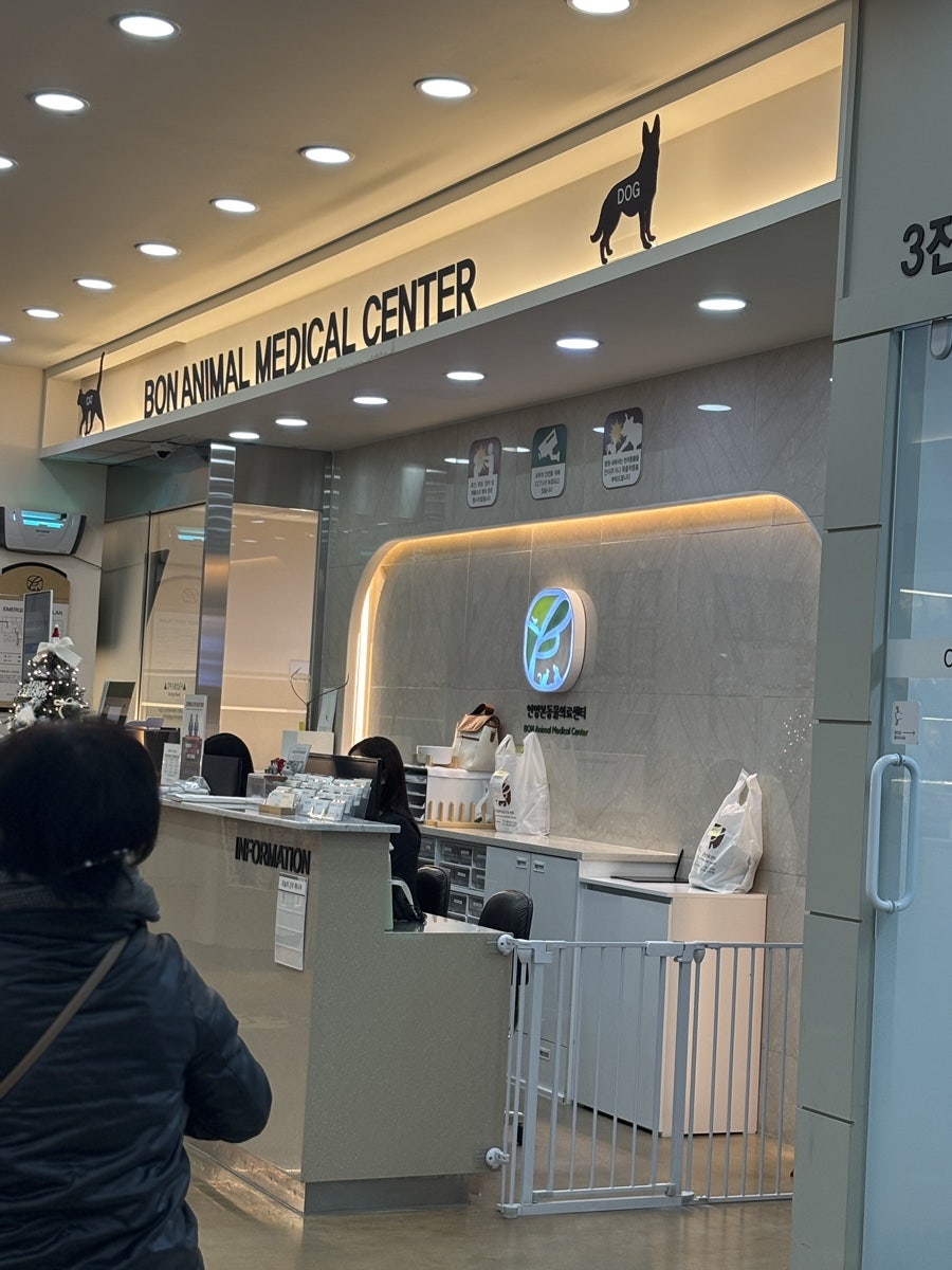 안양 강아지 건강검진 후기: 안양본동물의료센터 비용 및 결과 — 사진 3