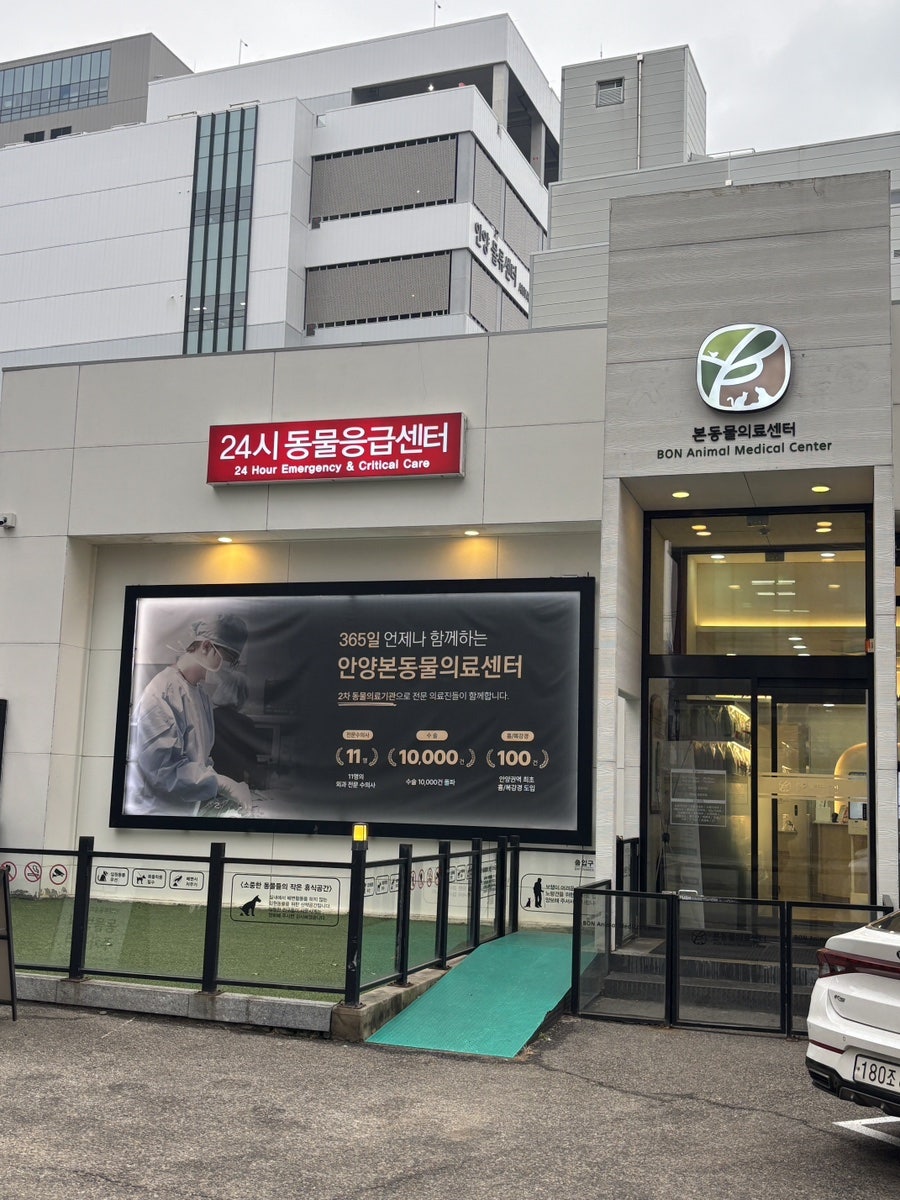 안양 강아지 건강검진 후기: 안양본동물의료센터 비용 및 결과 — 사진 2