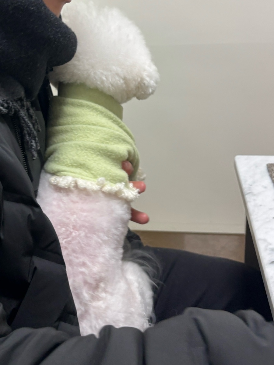 안양 강아지 건강검진 후기: 안양본동물의료센터 비용 및 결과 — 사진 10