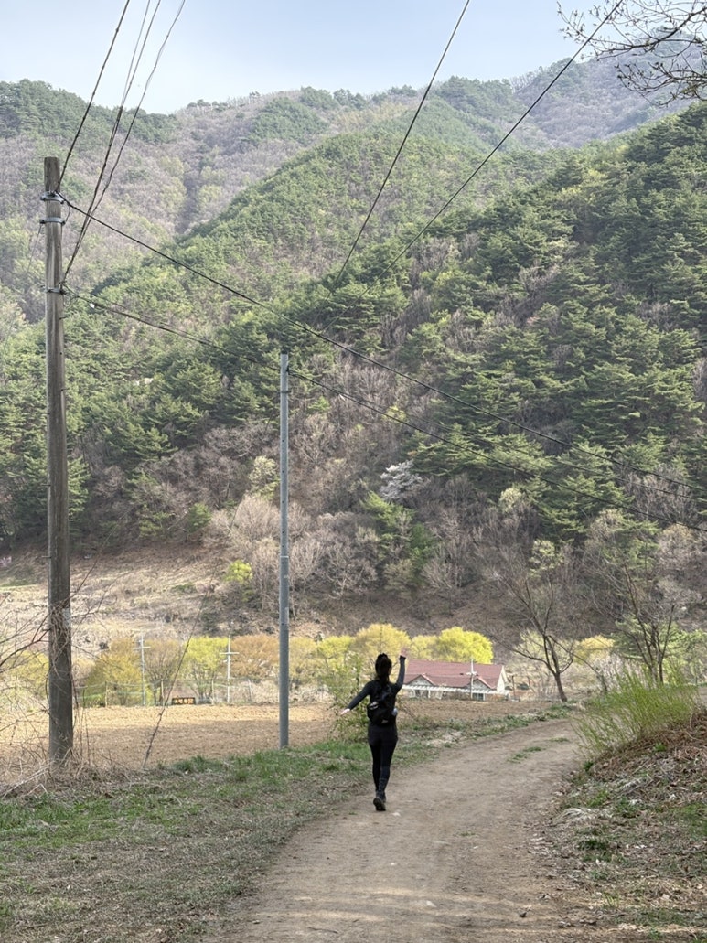 쉬놀펜션 이미지