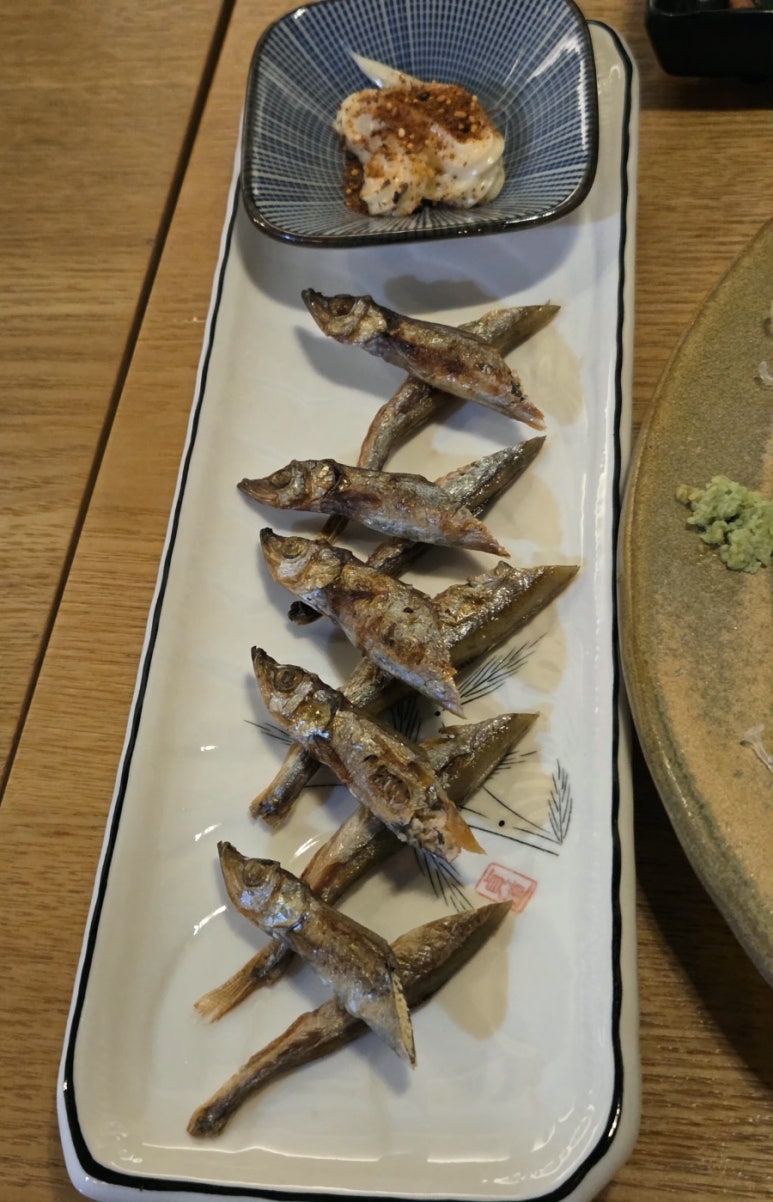 사쿠 사진 8