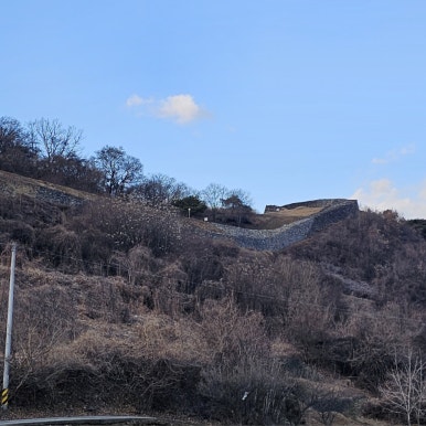 단양 신라 적성비 이미지