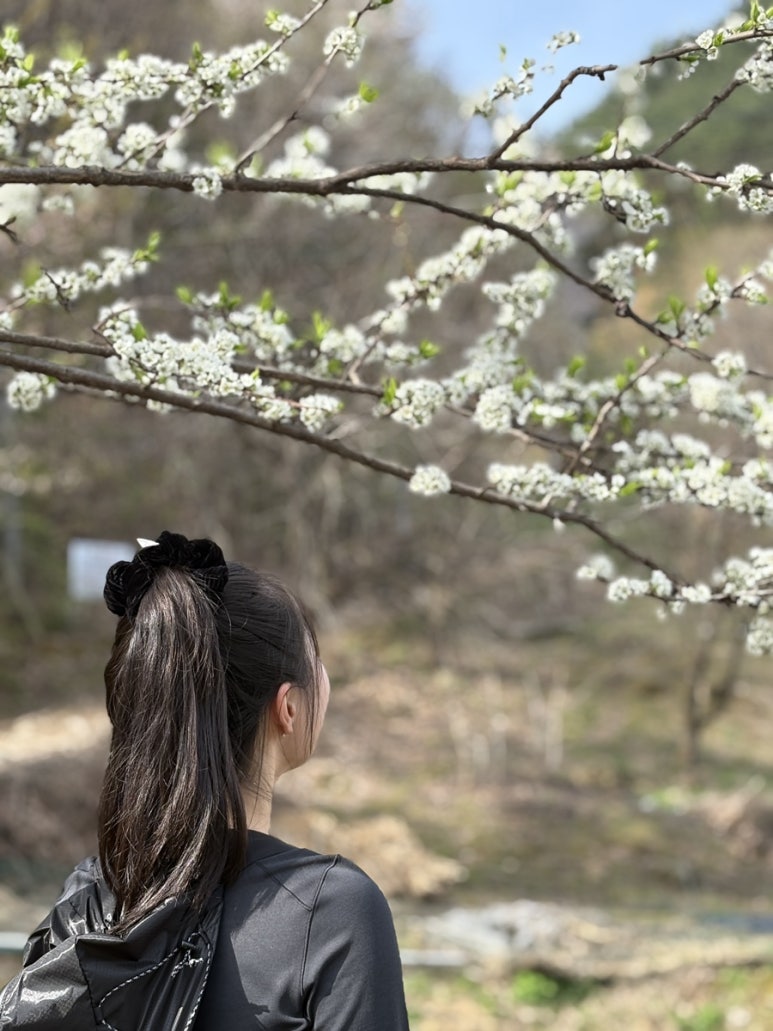 쉬놀펜션 이미지