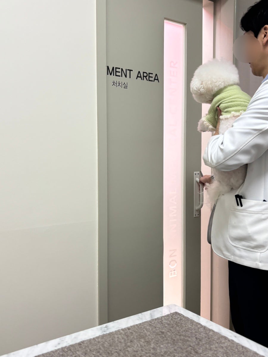 안양 강아지 건강검진 후기: 안양본동물의료센터 비용 및 결과 — 사진 11