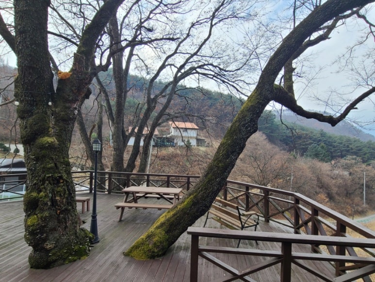 단양 풀꽃나무펜션 이미지