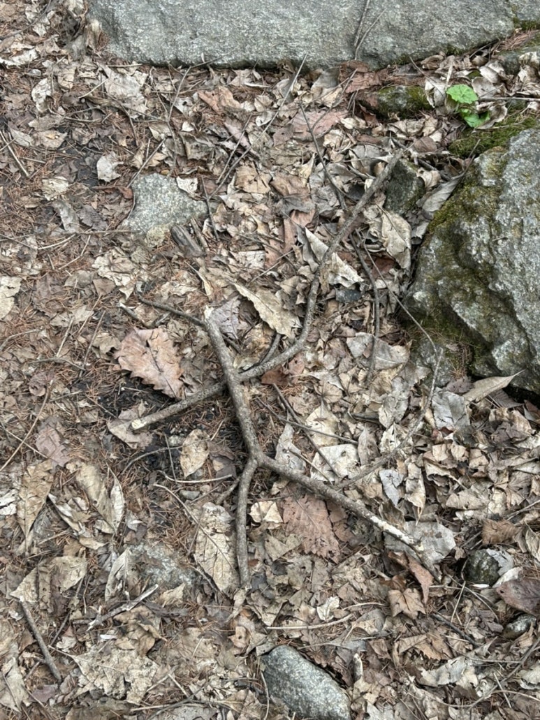 쉬놀펜션 이미지