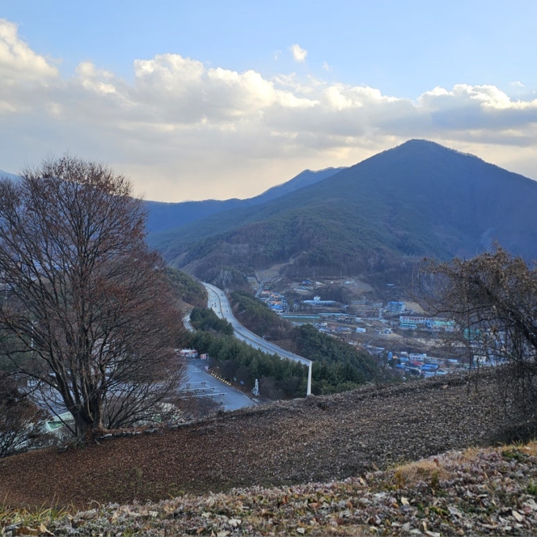 단양 신라 적성비 이미지